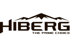 Логотип Hiberg